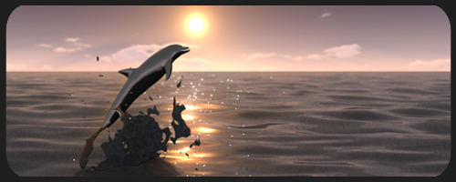 dolphin dolphin
